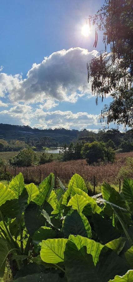 Loft No Campo Proximo Ao Vale Dos Vinhedos Villa Garibaldi Exteriör bild