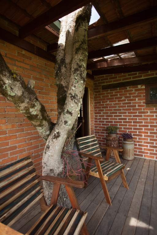 Loft No Campo Proximo Ao Vale Dos Vinhedos Villa Garibaldi Exteriör bild
