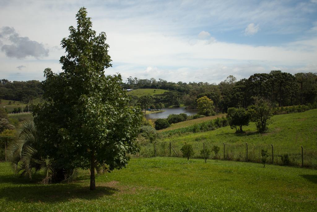 Loft No Campo Proximo Ao Vale Dos Vinhedos Villa Garibaldi Exteriör bild